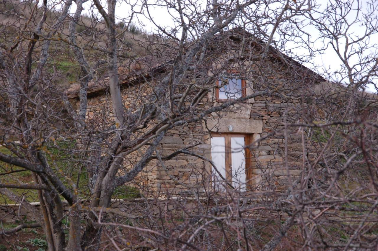 Willa Quinta Da Alagoa Santa Maria de Émeres Zewnętrze zdjęcie