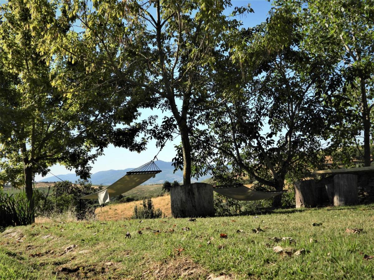 Willa Quinta Da Alagoa Santa Maria de Émeres Zewnętrze zdjęcie