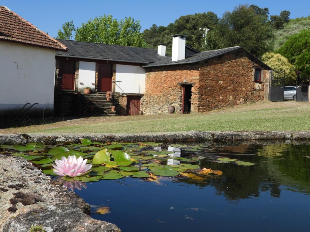 Willa Quinta Da Alagoa Santa Maria de Émeres Zewnętrze zdjęcie