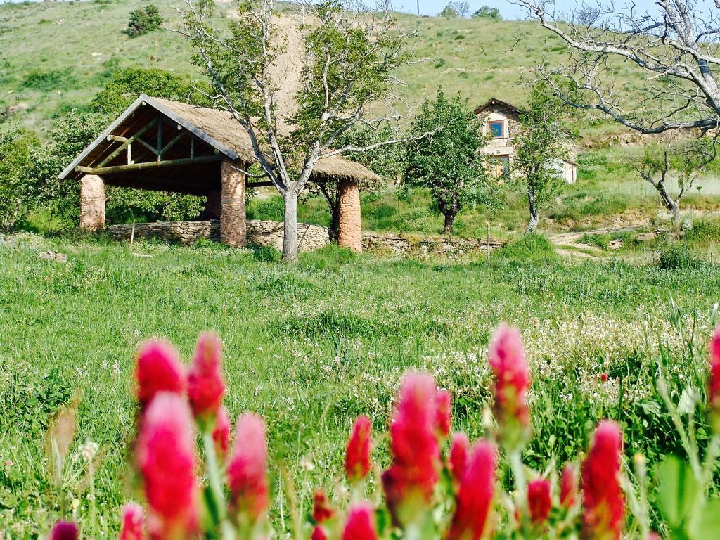 Willa Quinta Da Alagoa Santa Maria de Émeres Zewnętrze zdjęcie