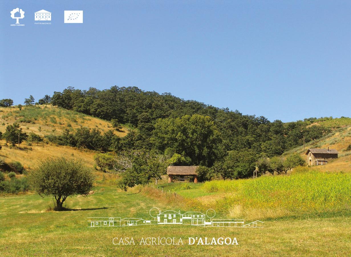 Willa Quinta Da Alagoa Santa Maria de Émeres Zewnętrze zdjęcie