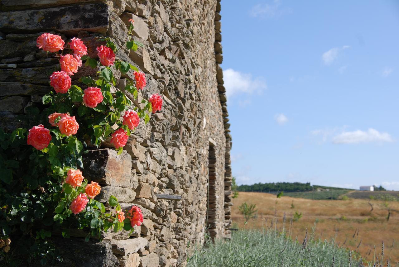 Willa Quinta Da Alagoa Santa Maria de Émeres Zewnętrze zdjęcie
