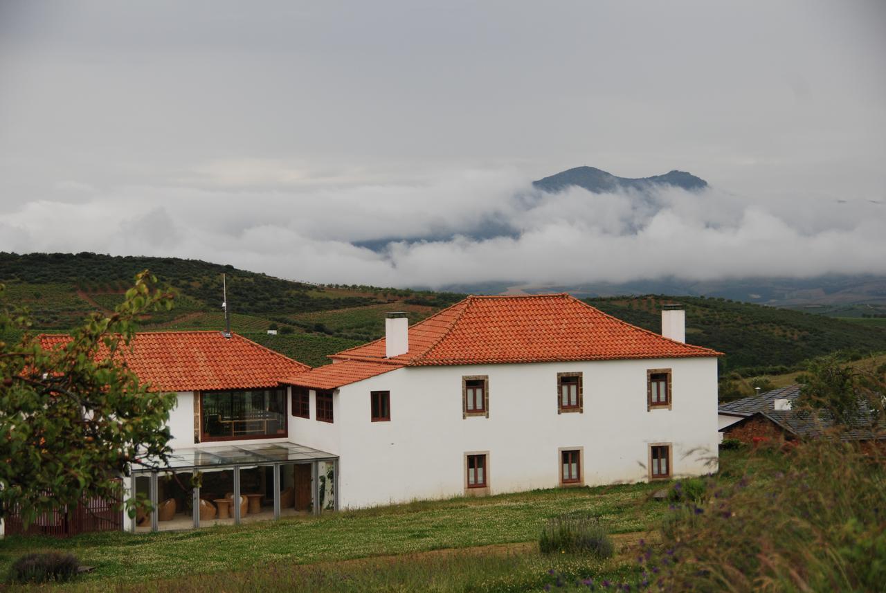 Willa Quinta Da Alagoa Santa Maria de Émeres Zewnętrze zdjęcie