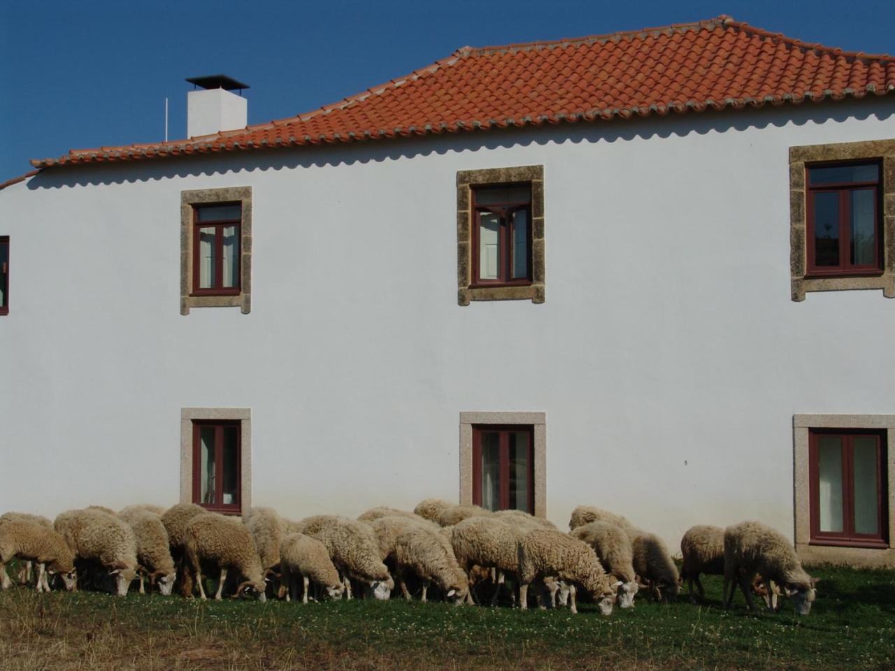 Willa Quinta Da Alagoa Santa Maria de Émeres Zewnętrze zdjęcie